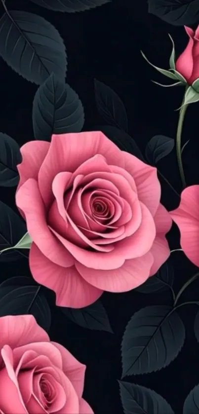 Elegant pink roses on dark background.
