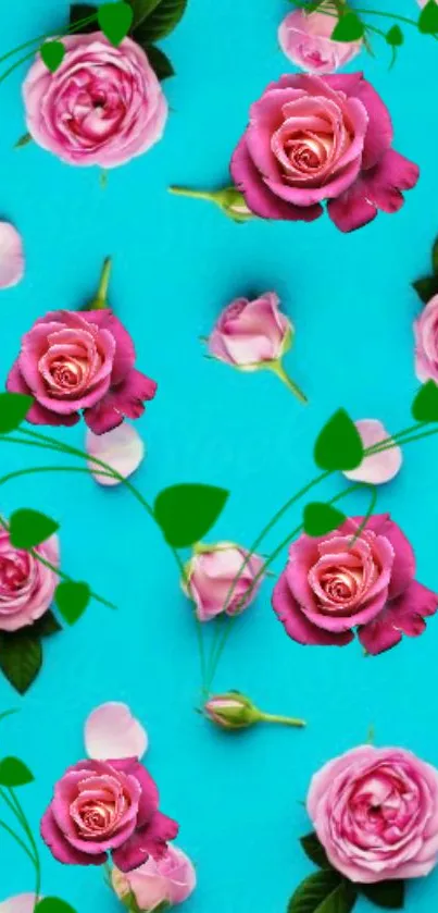 Charming pink roses on turquoise background wallpaper.