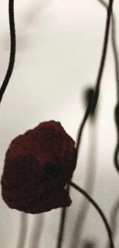 Silhouette of red poppies against a soft gray background.