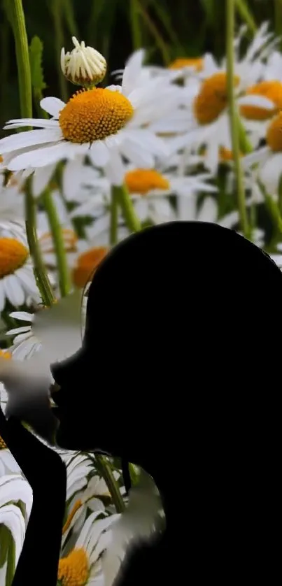Silhouette of a woman with daisy flowers background.