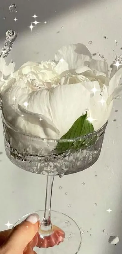 Elegant white flower in crystal glass with splash effect.