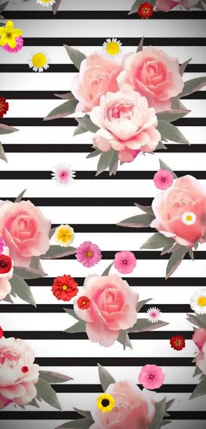 Pink roses on black and white striped background wallpaper.