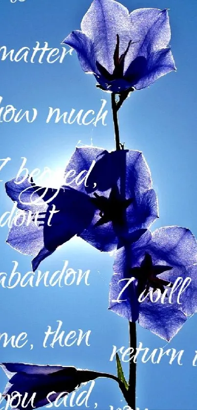 Purple flowers with inspiring text on a blue background.