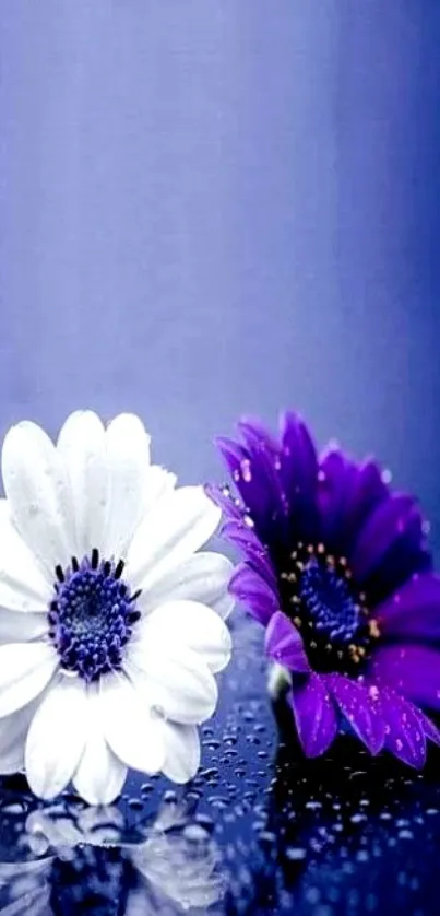 Purple and white flowers on reflective surface.