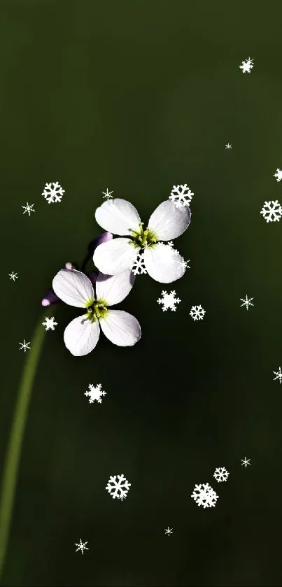 White flowers and snowflakes on dark green background.