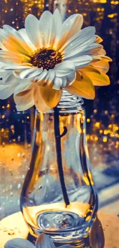 White flower in a glass vase with rain-dropped window backdrop.