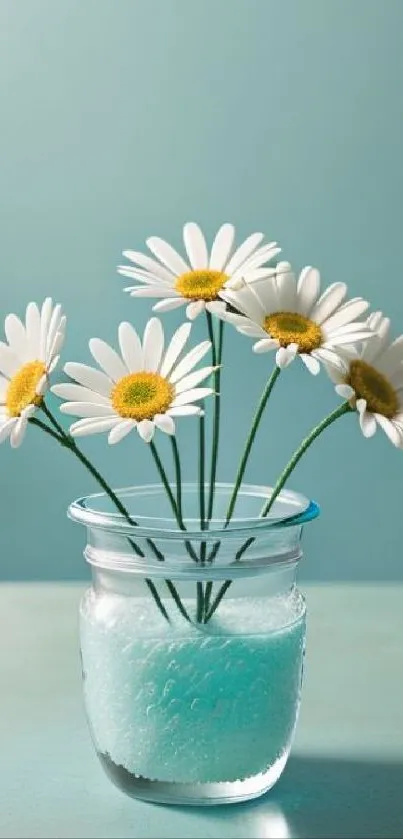 Elegant daisies in a glass jar against a teal background mobile wallpaper.