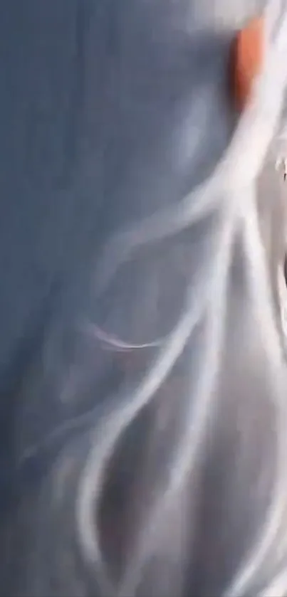 Flowing silver hair with orange accent on a blue background.