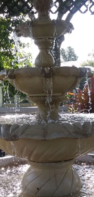 Beautiful garden fountain in sunshine.