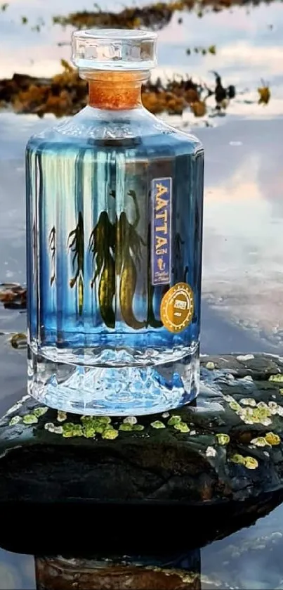 Elegant gin bottle reflected on calm water in natural surroundings.