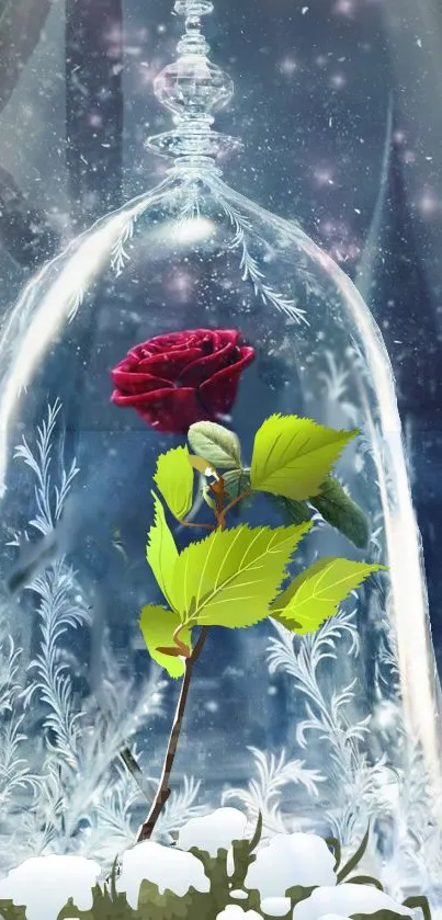 Red rose in glass dome with mystical background on mobile wallpaper.