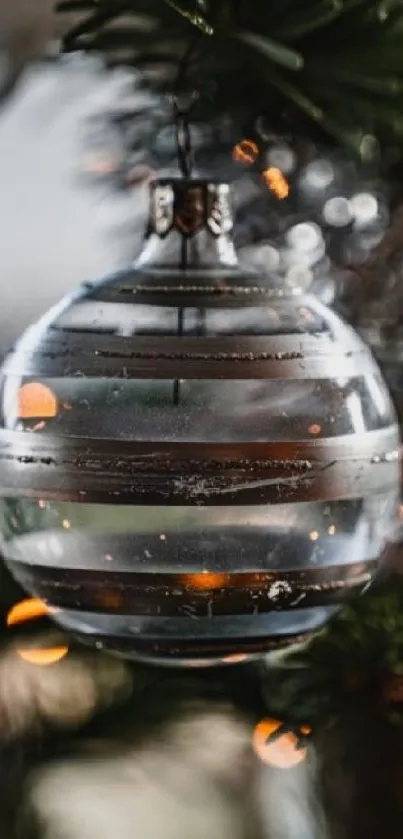 Close-up of a glass Christmas ornament hanging on a green tree branch.