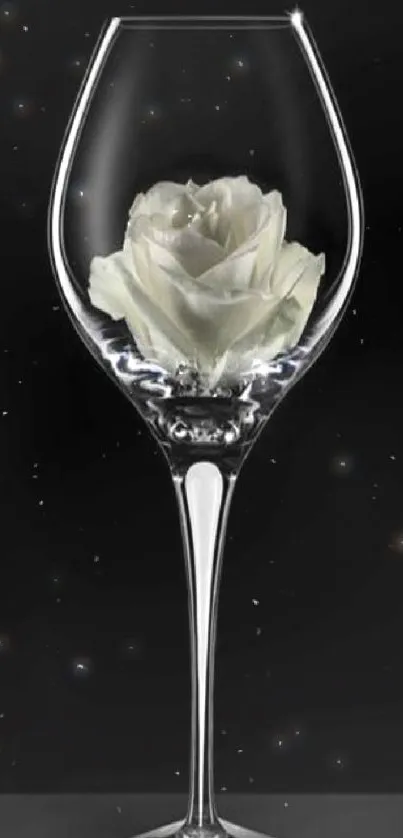 Elegant mobile wallpaper featuring a white rose in a glass goblet.