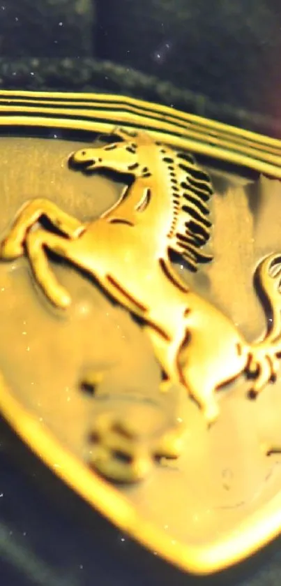 A detailed gold horse emblem on dark background.