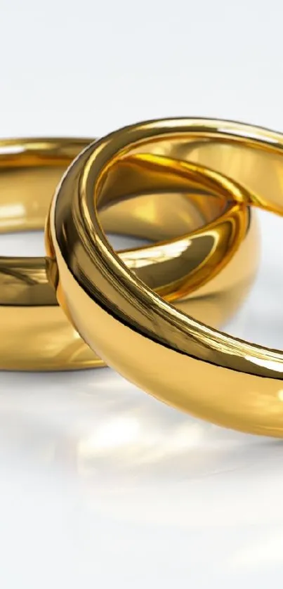 Glossy intertwined gold rings on a white background.