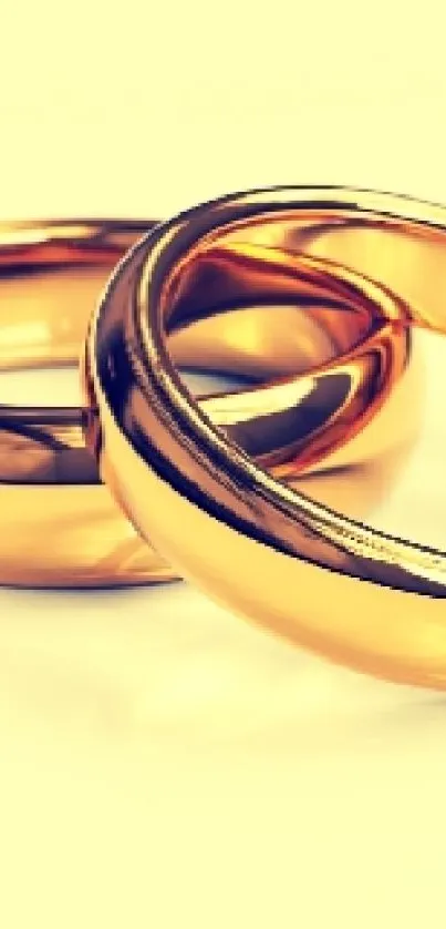 Two elegant gold rings on a soft yellow background.