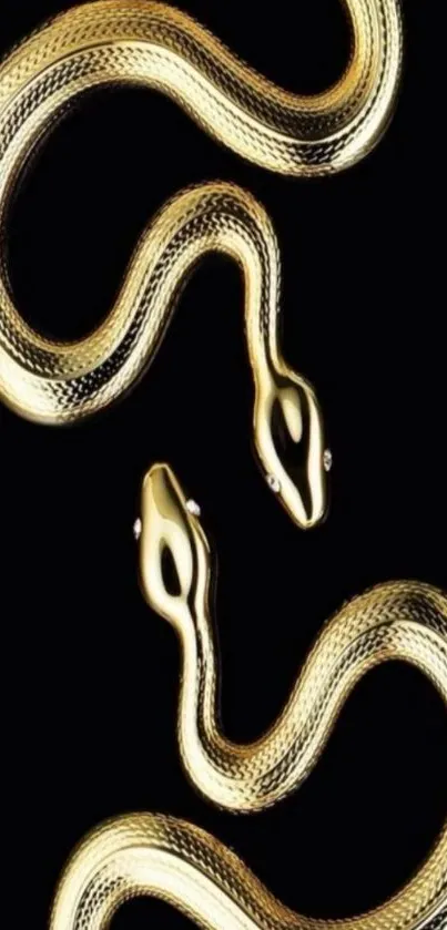 Elegant gold snake on black background mobile wallpaper.