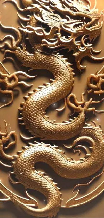 Intricate golden dragon design on a luxurious brown background.