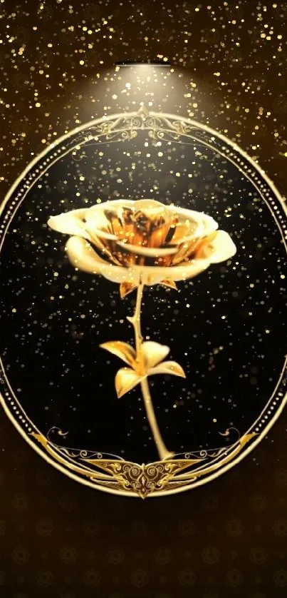 Elegant golden rose with ornate frame on dark background.