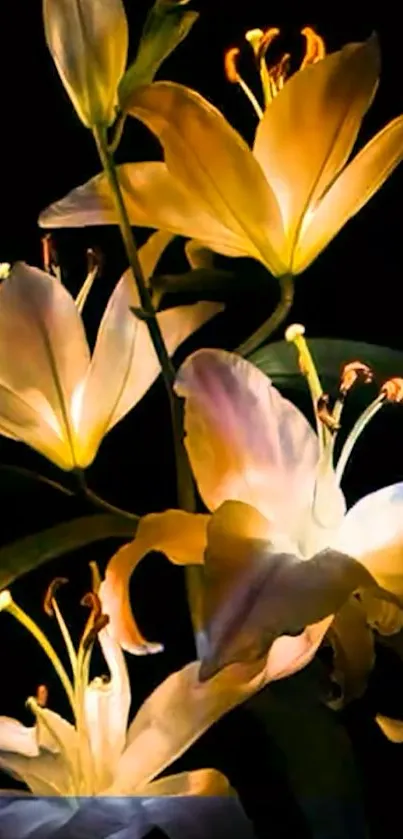 Elegant golden lilies illuminated against a black background.