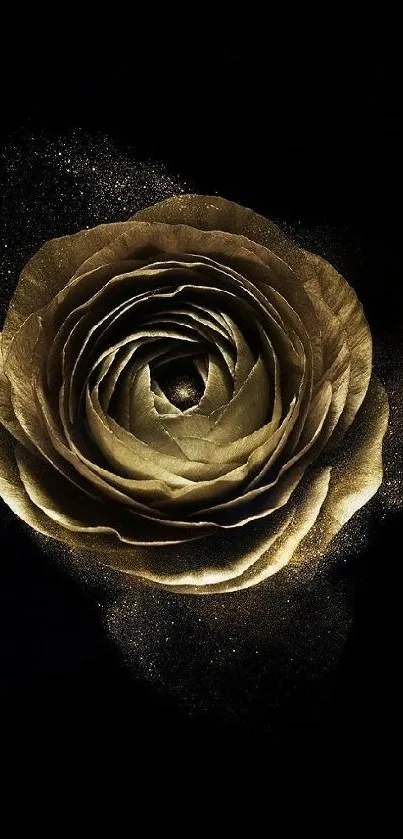 Golden rose on dark background, elegant mobile wallpaper.