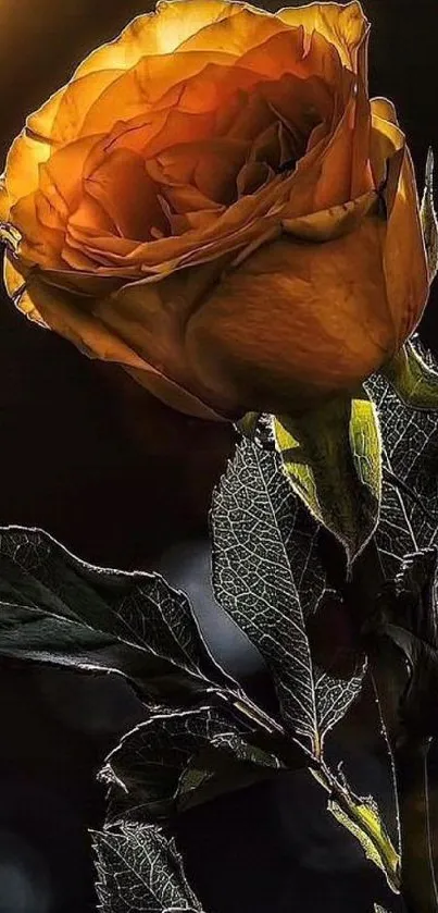 Close-up of a golden rose with intricate leaf details.