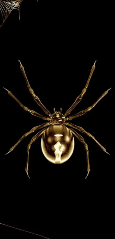 Golden spider on a black background, perfect for phone wallpaper.