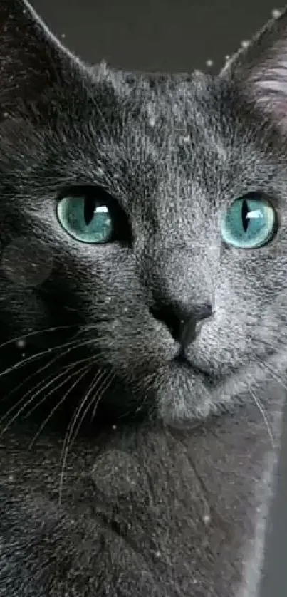 Close-up of an elegant gray cat with green eyes, perfect mobile wallpaper.