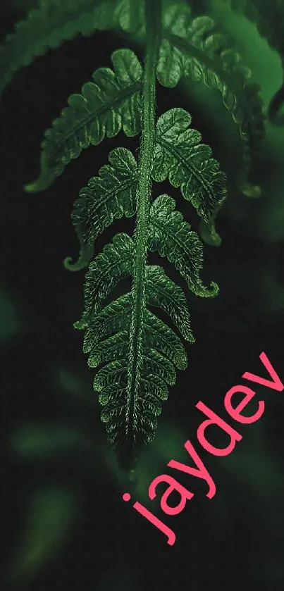 Green fern with artistic pink text overlay on a mobile wallpaper.