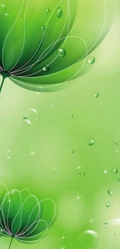 Elegant green floral wallpaper with bubbles and delicate lines