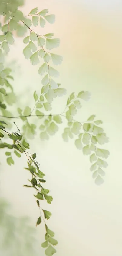 Elegant light green foliage wallpaper with soft leaves.