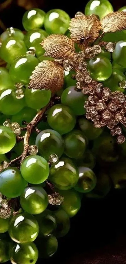 Green grapes with golden leaves adorn the wallpaper.