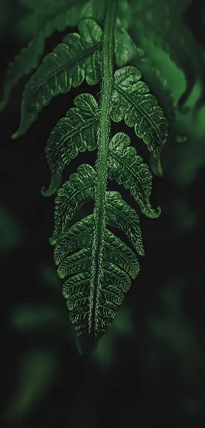 Vibrant green leaf wallpaper with intricate details for mobile screens.