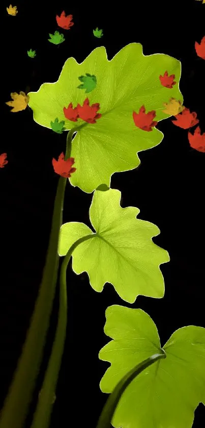 Three green leaves on a black background, ideal for mobile wallpaper.