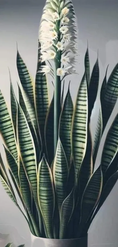 Minimalist snake plant wallpaper with delicate leaves in a soft pot.