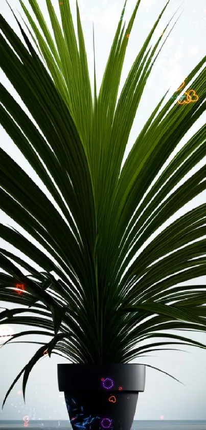 Elegant green plant in a pot, perfect for mobile wallpaper.