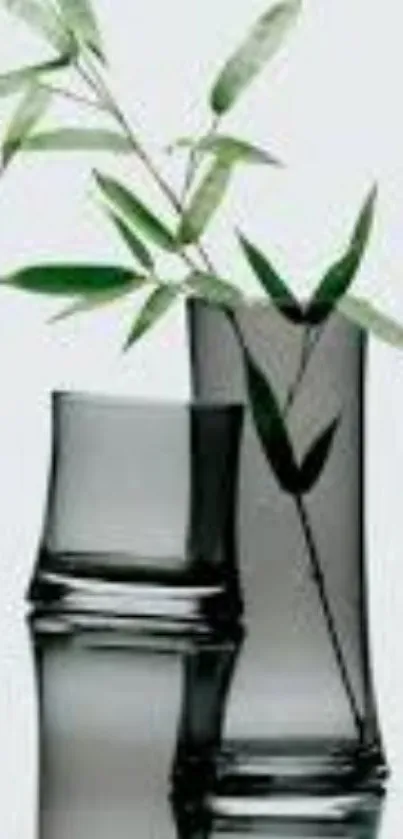 Grey vases with bamboo leaves on stylish wallpaper.