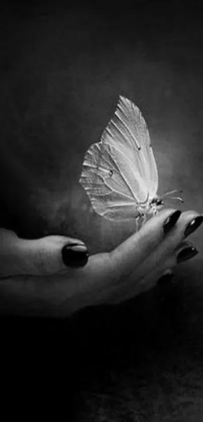 Elegant black and white wallpaper with butterfly resting on a hand.