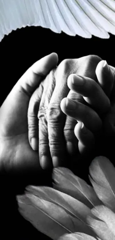 Elegant black wallpaper featuring hands holding with white wings.