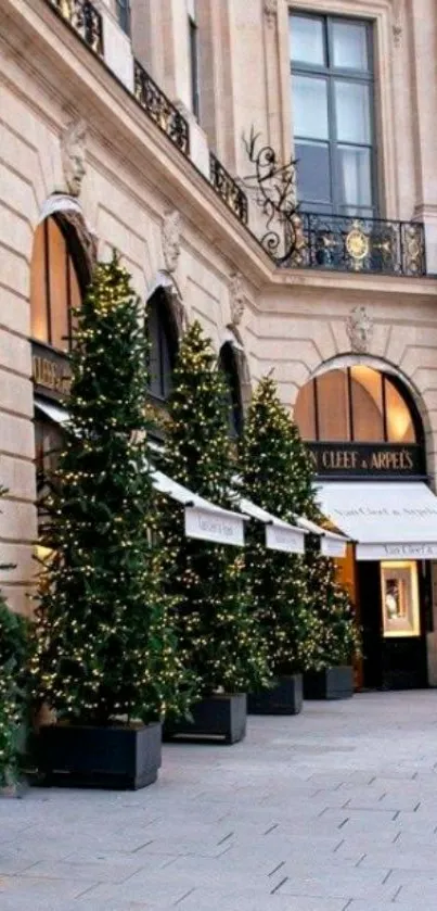 Elegant holiday street with decorated trees.