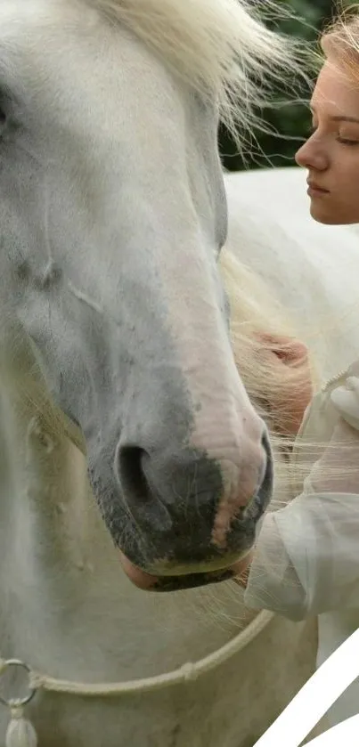 White horse with woman mobile wallpaper.