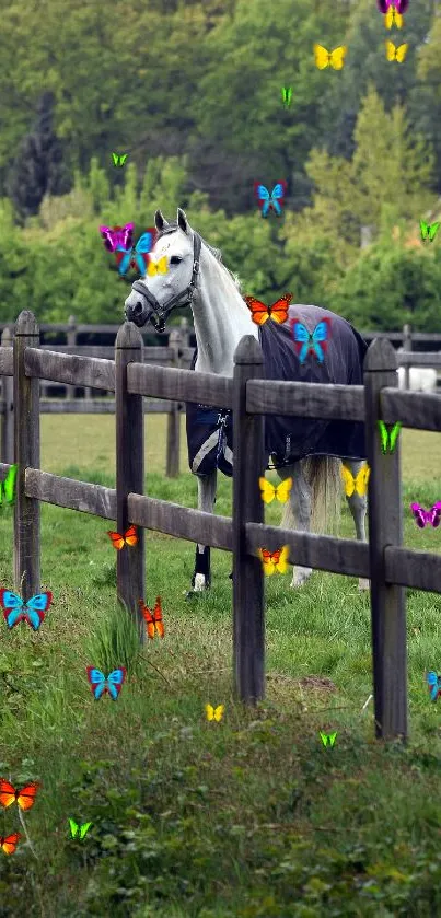 Elegant white horse standing in a lush, green pasture with wooden fencing.