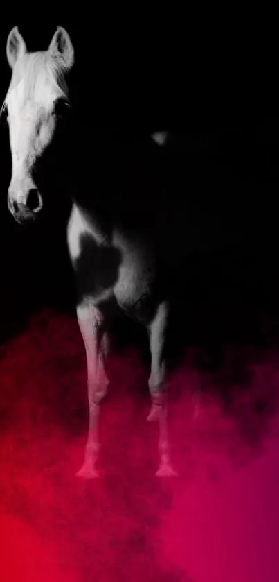 White horse with pink mist on dark background.