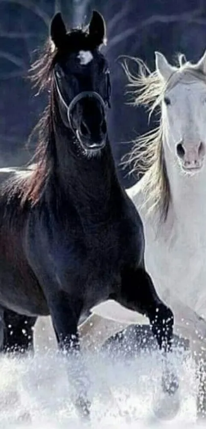 Two horses run through snowy landscape, showcasing elegance.