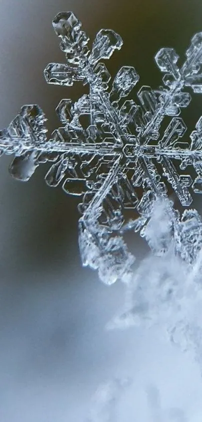 Close-up of a detailed ice crystal snowflake on a soft blue background.