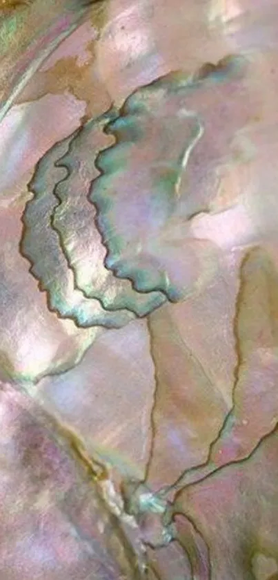 Iridescent shell texture with pastel hues.