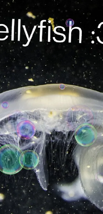 Luminous jellyfish float gracefully in a dark aquatic setting.