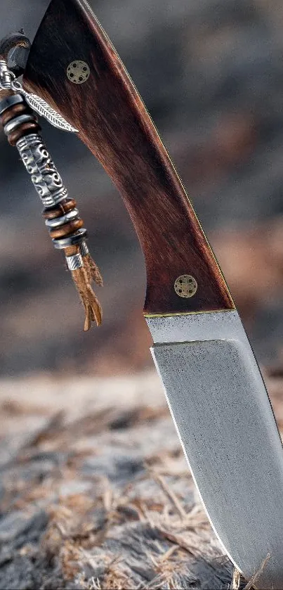 Knife with wooden handle on rustic ground wallpaper.