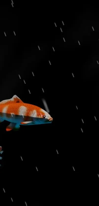 Elegant koi fish swim in the rain on a dark mobile wallpaper.