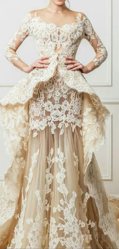 Woman in a luxurious lace bridal gown against a white background.